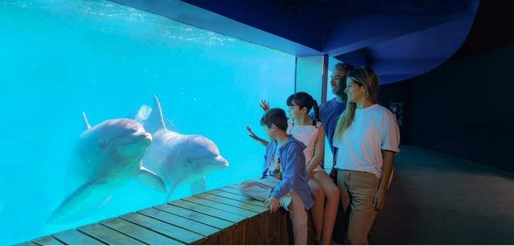 Entrada a Mundo Marino